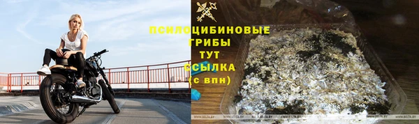 прущая мука Богородск