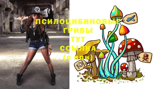 меф Богородицк