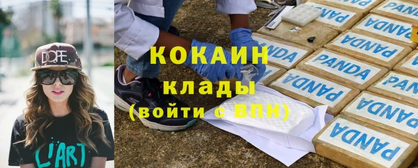 стаф Снежинск