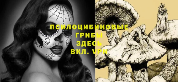 стаф Снежинск